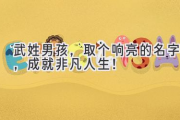 武姓男孩，取个响亮的名字，成就非凡人生！
