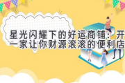 星光闪耀下的好运商铺：开一家让你财源滚滚的便利店！