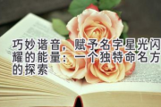 巧妙谐音，赋予名字星光闪耀的能量：一个独特命名方法的探索