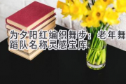 为夕阳红编织舞步：老年舞蹈队名称灵感宝库