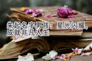 朱起名字男孩：星光闪耀，成就非凡人生
