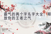 霸气的两个字名字大全：释放你的王者之气
