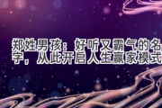 郑姓男孩：好听又霸气的名字，从此开启人生赢家模式