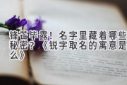 锋芒毕露！名字里藏着哪些秘密？《锐字取名的寓意是什么》