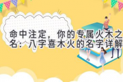 命中注定，你的专属火木之名：八字喜木火的名字详解