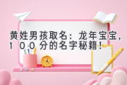 黄姓男孩取名：龙年宝宝，100分的名字秘籍！