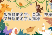 狐狸精的名字：灵动、神秘又好听的名字大揭秘