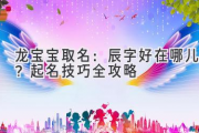 龙宝宝取名：辰字好在哪儿？起名技巧全攻略