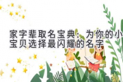家字辈取名宝典：为你的小宝贝选择最闪耀的名字