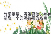 竹影婆娑，清雅灵动：为女孩取一个充满诗意的名字