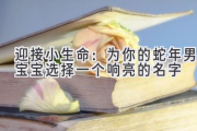 迎接小生命：为你的蛇年男宝宝选择一个响亮的名字