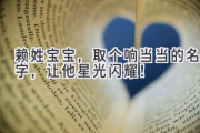 赖姓宝宝，取个响当当的名字，让他星光闪耀！