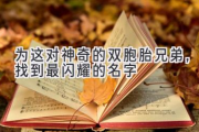 为这对神奇的双胞胎兄弟，找到最闪耀的名字
