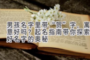 男孩名字里带“贺”字，寓意好吗？起名指南带你探索美好名字的奥秘