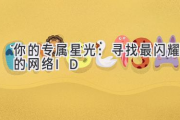 你的专属星光：寻找最闪耀的网络ID