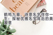 鹤鸣九皋，诗意名字伴你一生：探秘优雅名字背后的美好寓意