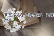 茶室命名：蕴藏星河，品味人生