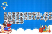 星光洒落的植物秘语：探寻蕴藏深意的花草名字及其背后的浪漫故事