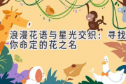 浪漫花语与星光交织：寻找你命定的花之名