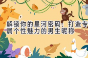 解锁你的星河密码：打造专属个性魅力的男生昵称