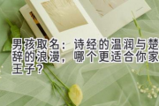 男孩取名：诗经的温润与楚辞的浪漫，哪个更适合你家小王子？