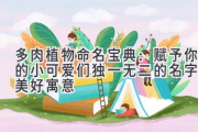 多肉植物命名宝典：赋予你的小可爱们独一无二的名字及美好寓意
