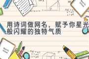用诗词做网名，赋予你星光般闪耀的独特气质