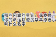 那些闪耀的星光：寻找属于你的命运轨迹（度华年原著小说叫什么名字）
