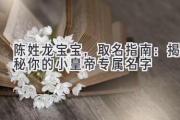 陈姓龙宝宝，取名指南：揭秘你的小皇帝专属名字