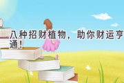 八种招财植物，助你财运亨通！