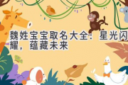 魏姓宝宝取名大全：星光闪耀，蕴藏未来