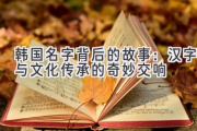 韩国名字背后的故事：汉字与文化传承的奇妙交响