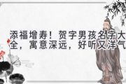 添福增寿！贺字男孩名字大全，寓意深远，好听又洋气！