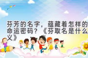 芬芳的名字，蕴藏着怎样的命运密码？《芬取名是什么含义》