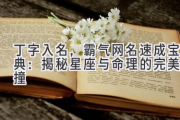 丁字入名，霸气网名速成宝典：揭秘星座与命理的完美碰撞