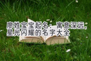 廖姓宝宝起名：寓意深远，星光闪耀的名字大全