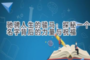驰骋人生的骏马：探秘一个名字背后的力量与祝福