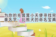 为你的毛茸茸小天使寻找完美名字：比熊犬的命名宝典