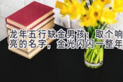龙年五行缺金男孩：取个响亮的名字，金光闪闪一整年