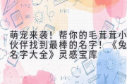 萌宠来袭！帮你的毛茸茸小伙伴找到最棒的名字！《兔子名字大全》灵感宝库