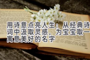 用诗意点亮人生：从经典诗词中汲取灵感，为宝宝取一个寓意美好的名字