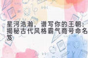 星河浩瀚，谱写你的王朝：揭秘古代风格霸气商号命名秘笈