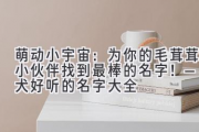 萌动小宇宙：为你的毛茸茸小伙伴找到最棒的名字！—柴犬好听的名字大全