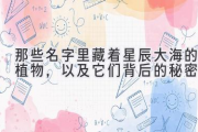 那些名字里藏着星辰大海的植物，以及它们背后的秘密