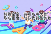 韩姓宝宝，诗意名字大赏：取名指南，助你找到最美名字