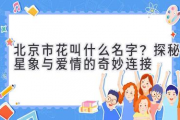 北京市花叫什么名字？探秘星象与爱情的奇妙连接