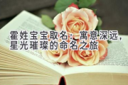 霍姓宝宝取名：寓意深远，星光璀璨的命名之旅