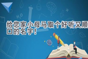 给您家小母马取个好听又顺口的名字！