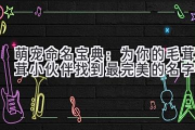 萌宠命名宝典：为你的毛茸茸小伙伴找到最完美的名字