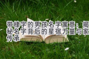 带棣字的男孩名字寓意：揭秘名字背后的星宿力量与家族传承